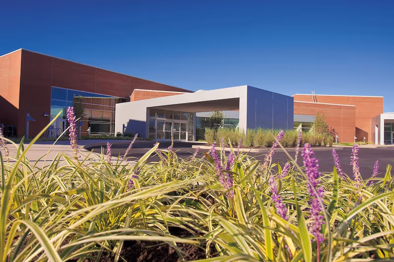 Exterior view of Merwick Care & Rehabilitation Center showing a modern building with red brick walls and large glass windows under a clear blue sky. In the foreground, there are green plants with purple flowers.