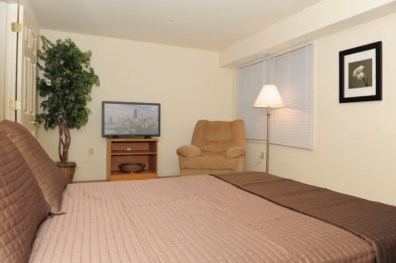 A bedroom with a large bed covered in a brown quilt, a beige armchair, a floor lamp, a flat-screen TV on a wooden stand, a potted plant, and a framed flower picture on the wall.