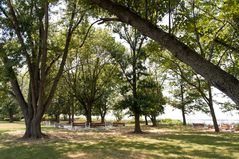 A peaceful outdoor area with large trees providing shade over several white benches arranged in a circle on a grassy lawn, with more benches and greenery in the background near a body of water.