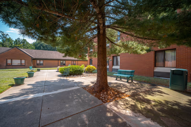 Outdoor courtyard area at Complete Care at Burlington Woods featuring a large tree in the center, green benches, potted plants, and brick buildings surrounding the paved walkway under a clear blue sky.