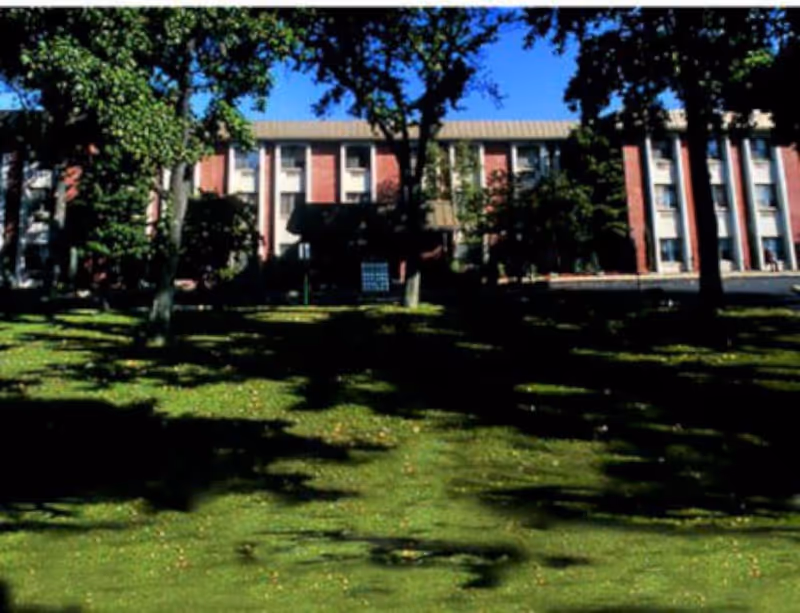 A large multi-story brick building partially obscured by tall trees with green leaves, situated behind a grassy lawn with shadows cast by the trees under a clear blue sky.