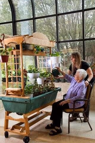 An elderly woman sitting in a chair watering plants on a wooden plant stand with multiple potted plants, assisted by a younger woman standing behind her. They are indoors near large windows with a view of trees outside.