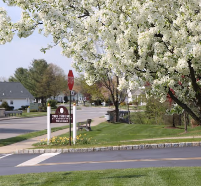 White-flowering tree frames a neighborhood street with a stop sign and a community welcome sign by the sidewalk.