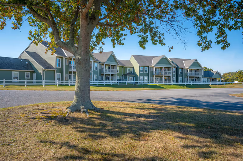 A large tree in the foreground with a shadow cast on the grassy area and a paved road. In the background, there is a two-story green residential building with white trim, balconies, and a white fence surrounding the property under a clear blue sky.