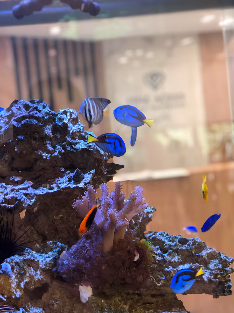 Close-up view of a colorful aquarium with various tropical fish swimming around coral and rocks. The background shows a blurred interior space with a sign that reads Pine Acres Healthcare & Rehabilitation Center.