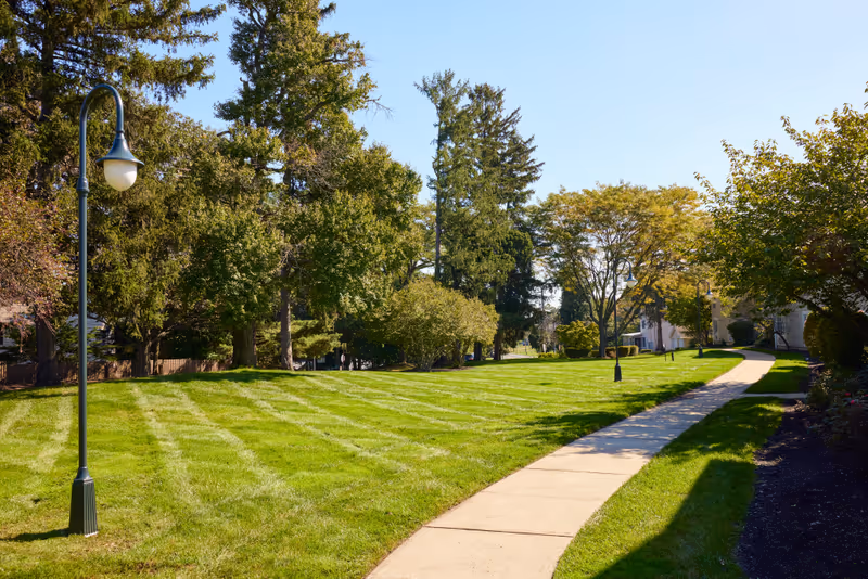 A sunny outdoor scene at Brandywine Governor's Crossing by Monarch featuring a well-maintained grassy area with a paved walking path curving through it. There are several tall trees and lamp posts lining the path, with some buildings partially visible in the background under a clear blue sky.