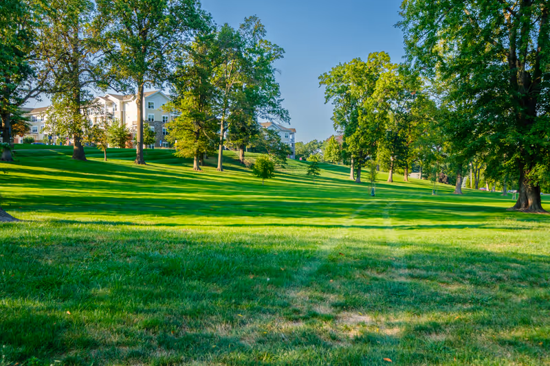A large grassy outdoor area with scattered mature trees and a few smaller newly planted trees. In the background, there are multi-story residential buildings partially visible through the trees under a clear blue sky.