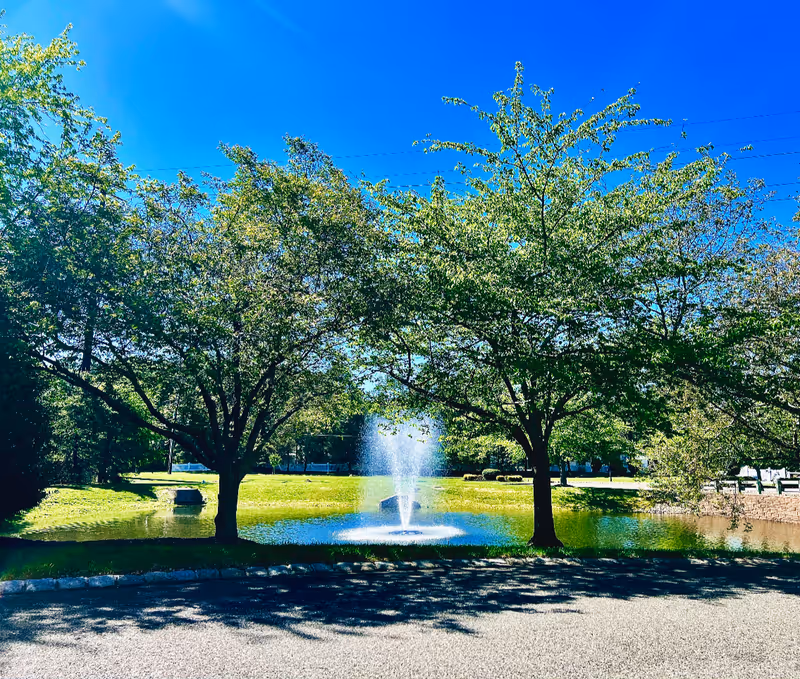 A small pond with a water fountain in the center, surrounded by green grass and two leafy trees on either side under a clear blue sky.