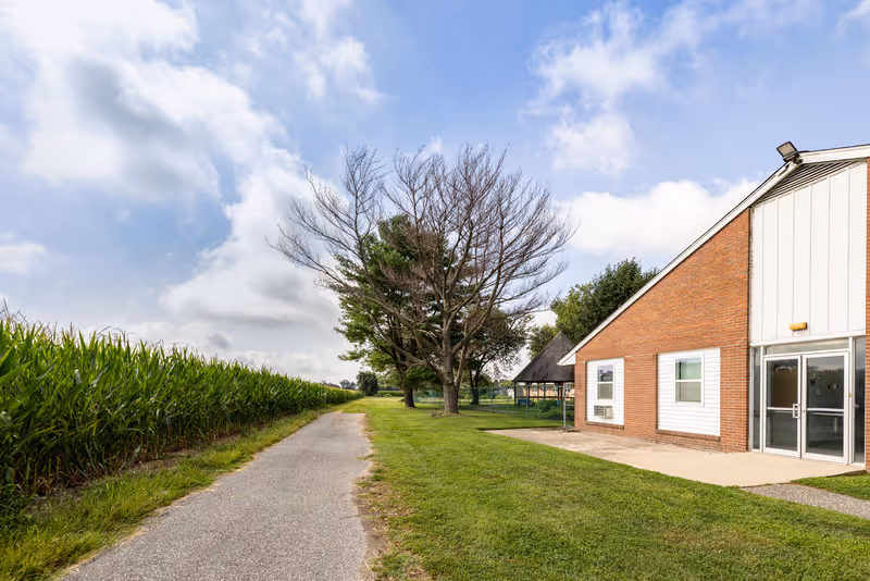A paved pathway runs alongside a field of tall green corn plants on the left and a brick building with white siding and glass doors on the right. There are several trees, including one with bare branches, and a small gazebo structure in the background under a partly cloudy blue sky.