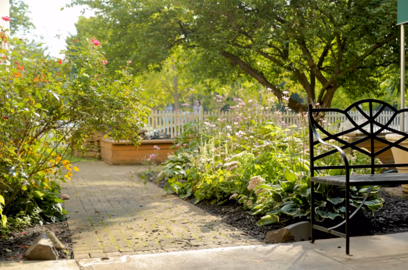 A peaceful garden path with lush green plants and flowers on both sides, a black metal bench on the right, and a white picket fence in the background under a large tree providing shade.
