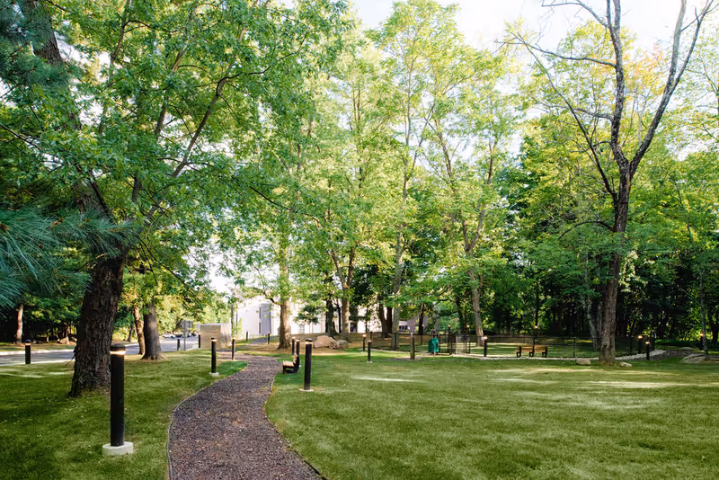A peaceful outdoor garden area with a winding gravel path lined by black lamp posts, surrounded by green grass and tall leafy trees under bright daylight.