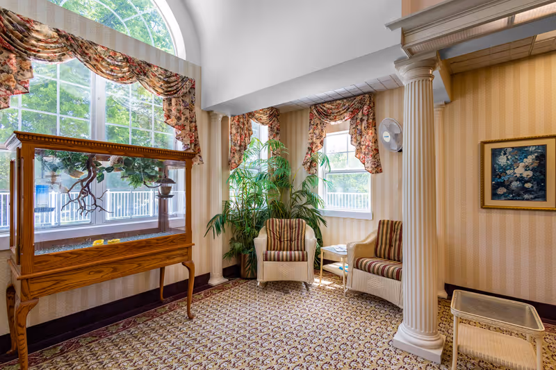 A cozy sitting area in a senior living facility with two striped cushioned chairs, a small side table, a large potted plant, and a wooden display case with greenery inside. The room features large windows with floral valances, patterned carpet, wallpaper with vertical stripes, and a decorative white column.