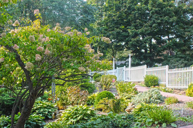 A landscaped garden with flowering shrubs, lush greenery, a white picket fence and a winding pathway.