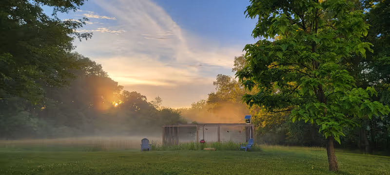 A serene outdoor scene at sunset with a misty field, two blue chairs spaced apart on green grass, a large tree on the right, and a fenced enclosure in the background surrounded by trees.