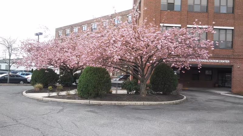 Brick rehabilitation center entrance with pink blossoming trees and a circular driveway.