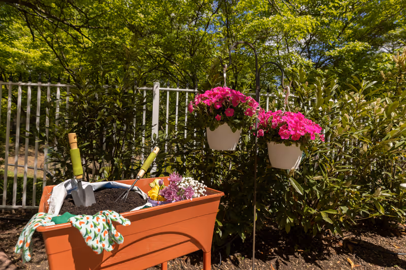 A raised garden bed filled with soil and gardening tools including a small shovel and hand rake. A pair of gardening gloves with a colorful pattern rests on the edge. Two white hanging pots with vibrant pink flowers are displayed next to the garden bed, with green bushes and trees in the background under a clear blue sky.