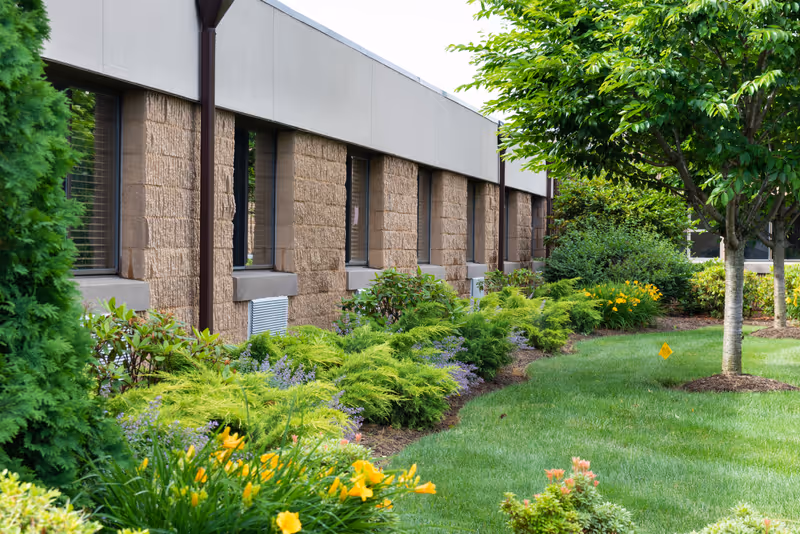 Exterior view of a building with a row of windows and a landscaped garden featuring green shrubs, flowering plants, and trees on a well-maintained lawn.