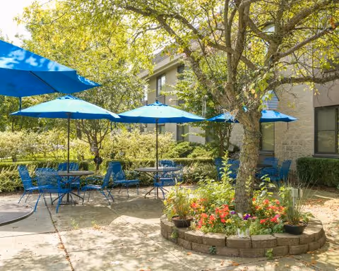 Outdoor patio area with several blue metal tables and chairs under blue umbrellas surrounded by greenery and a tree with a circular flower bed at the center, adjacent to a building.